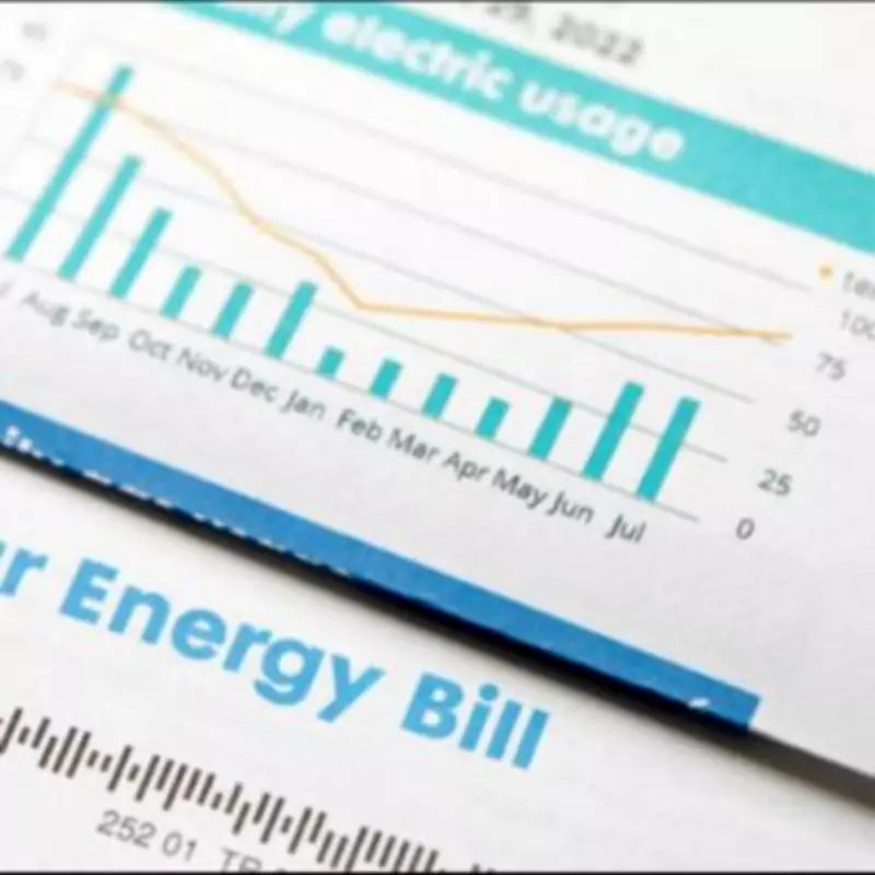 Energy Firms Urge Customers to Photograph Meters Before Price Cap Change