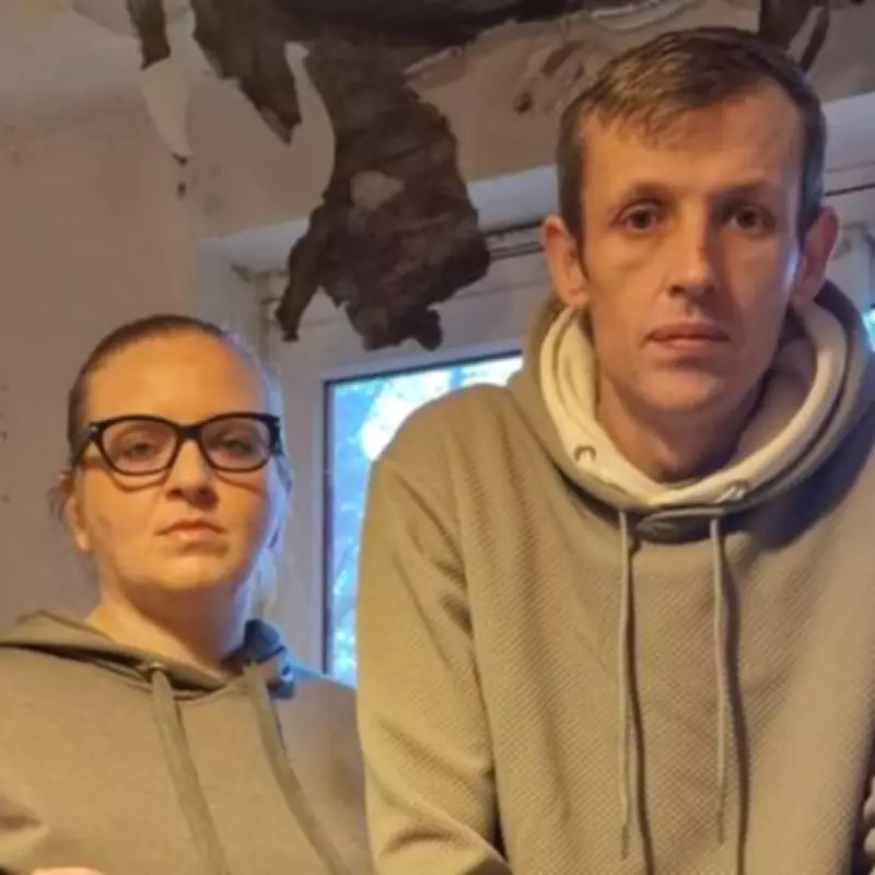 Family's Housing Nightmare: Collapsing Ceiling, Mould, and Invasive Weed in Stourbridge Home