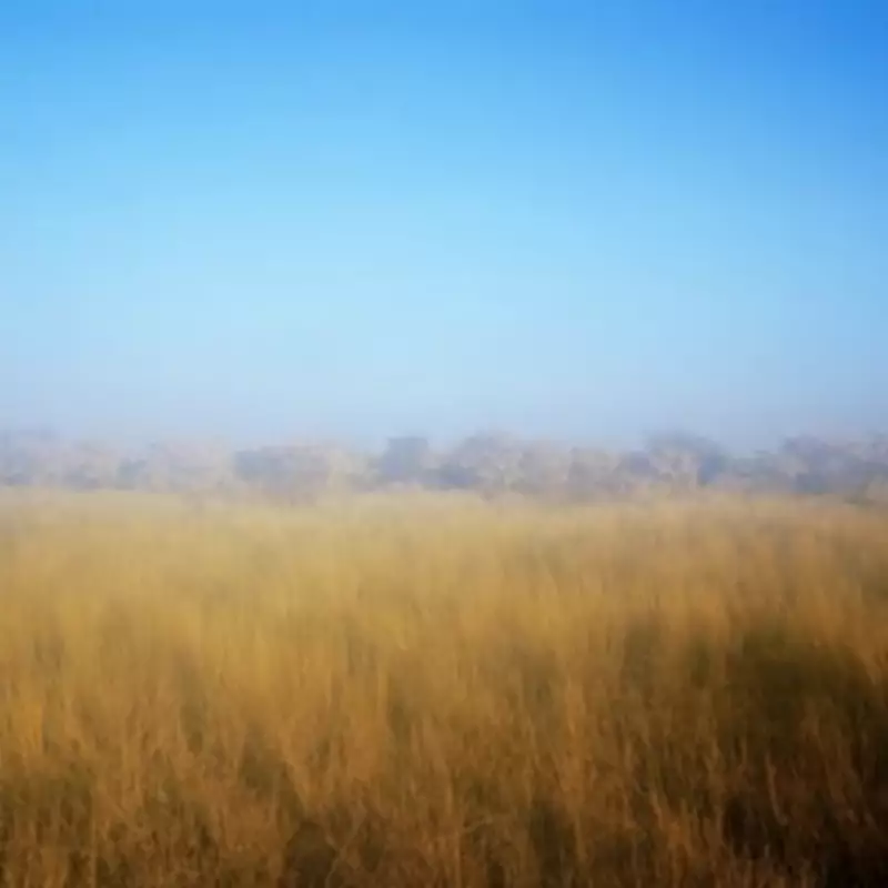 Foreign Office Issues Flash Flood Warning for UK Tourists in Botswana