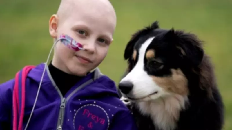 Freya Harris Defies Stage 4 Cancer to Shine at Crufts with Her Dog Echo