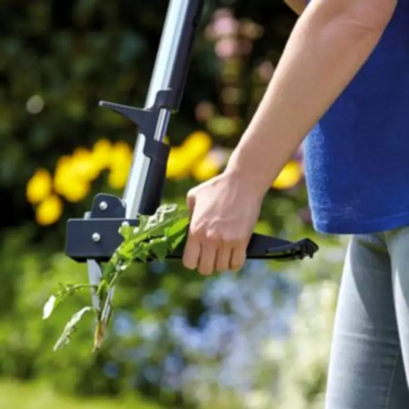 Gardener with Knee Pain Praises 'Godsend' Standing Weed Puller Now Reduced to £25