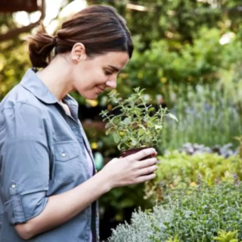 Gloucestershire Garden Centre Enters Administration After Eight Years in Business
