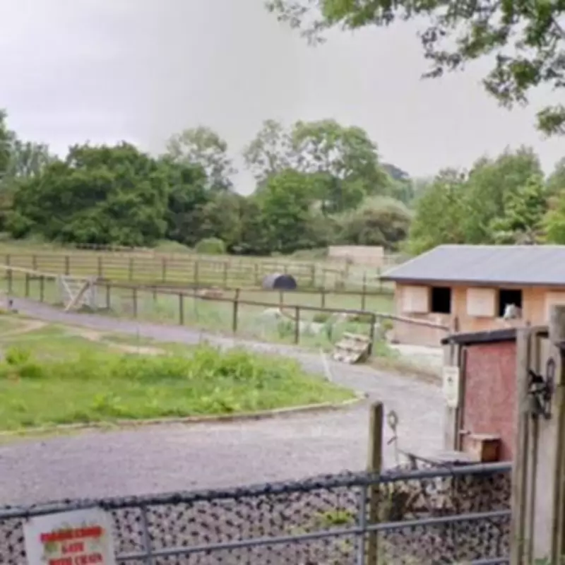Government Inspector Overrules Solihull Council on Green Belt Stable Conversion