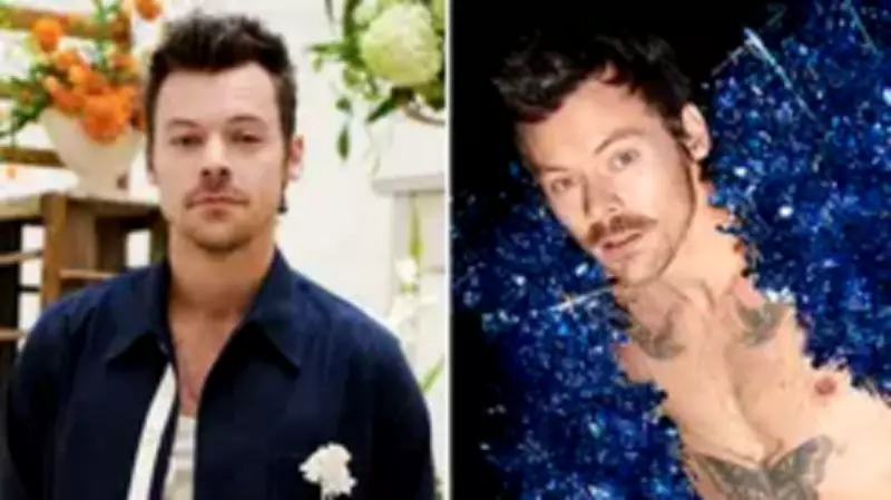 Harry Styles Reveals True Meaning Behind 'Are You Listening Yet?' Lyrics