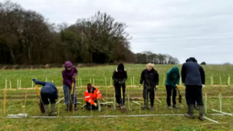 Hertfordshire's Hedgerow Heroes Plant Over 2km of New Wildlife Corridors
