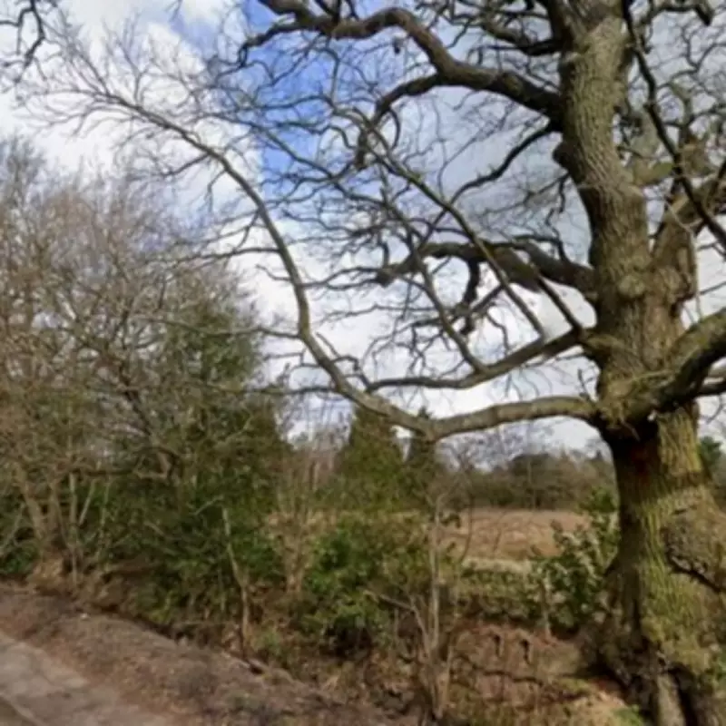 Hockley Heath Residents Fume as Council Backs Nine-Home Development Plan