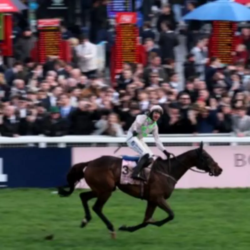 Irish Pensioner Wins £485,000 from 43p Bet at Cheltenham Festival