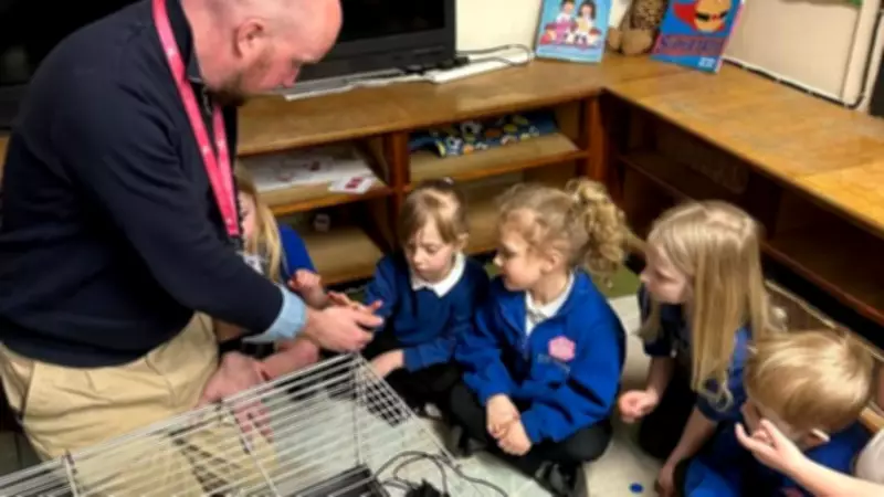 Lifton Community Academy Welcomes Chicks for Hands-On Learning Experience