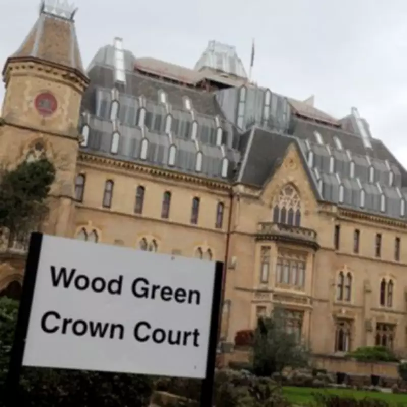 London Couple Jailed After XL Bully Dog Attacks Child, Causing Serious Injuries