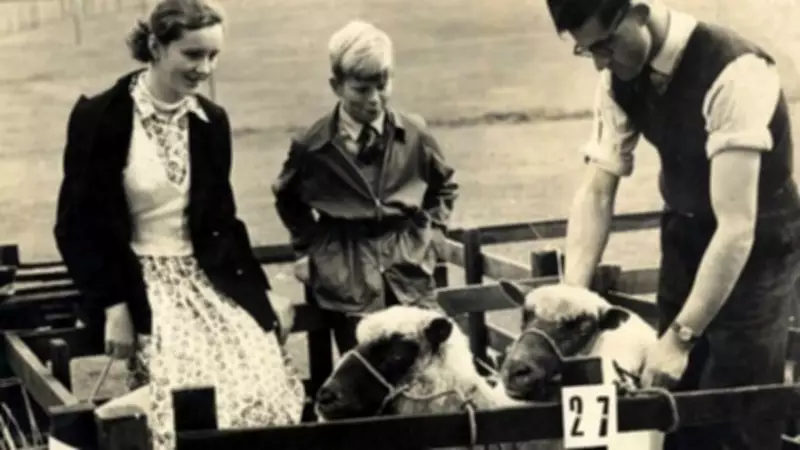 Macclesfield's Past Revealed: Rare 1960s Agricultural Show Photos Unearthed