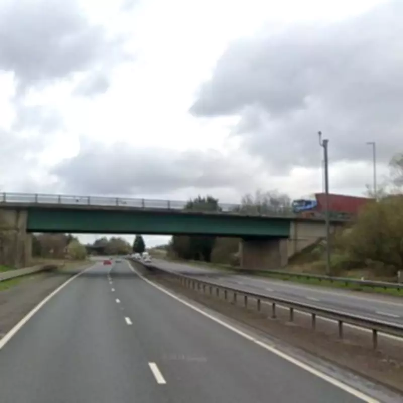 Major 15-Vehicle Pile-Up on M73 Motorway Leaves Five Hospitalised, Including Two Children