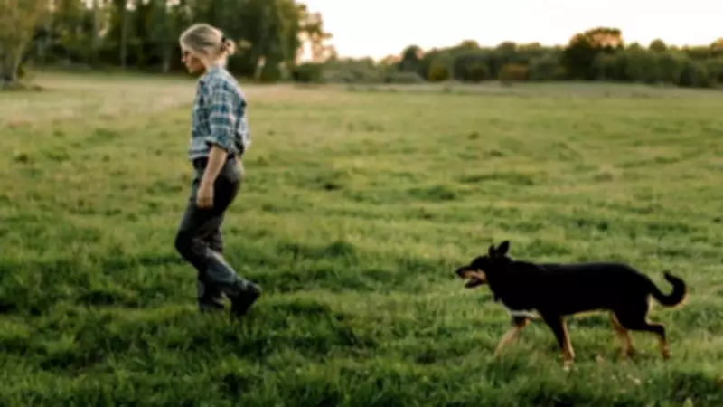 Major Legal Changes for Dog Owners and Primate Keepers Announced