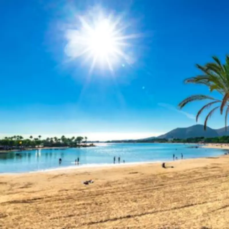 Majorca to Cap Tourist Numbers in Summer to Combat Overtourism