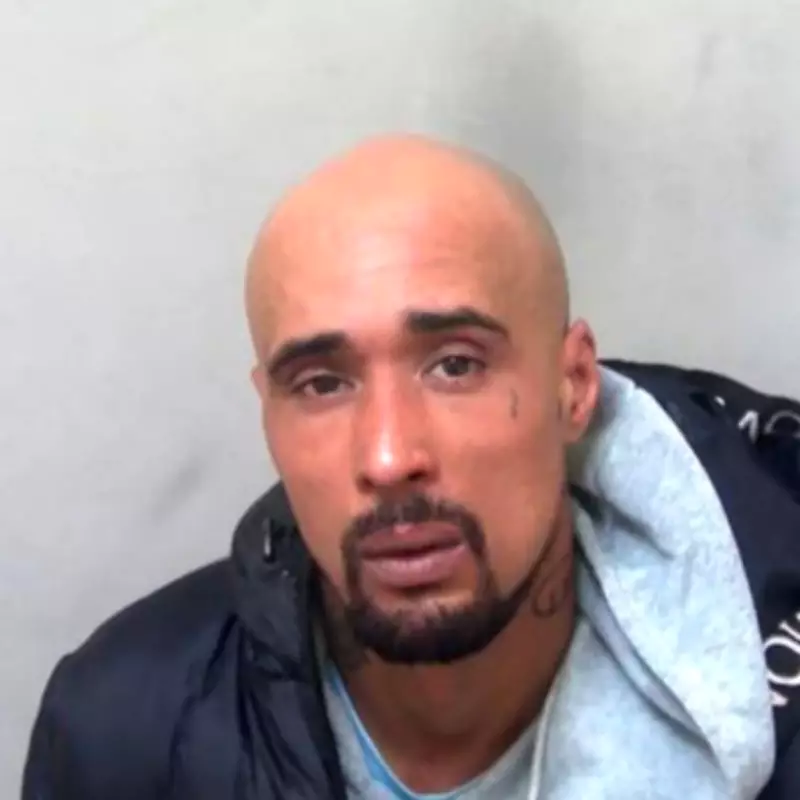 Man Jailed for 10 Years After XL Bully Dog Mauled Pensioner to Death