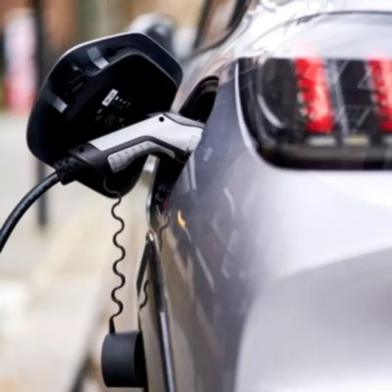 Mazda Executive Criticizes EU's Electric-Only Strategy for Vehicle Emissions