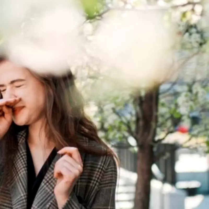 Met Office Issues High Pollen Alert for Midlands as Warmer Weather Arrives