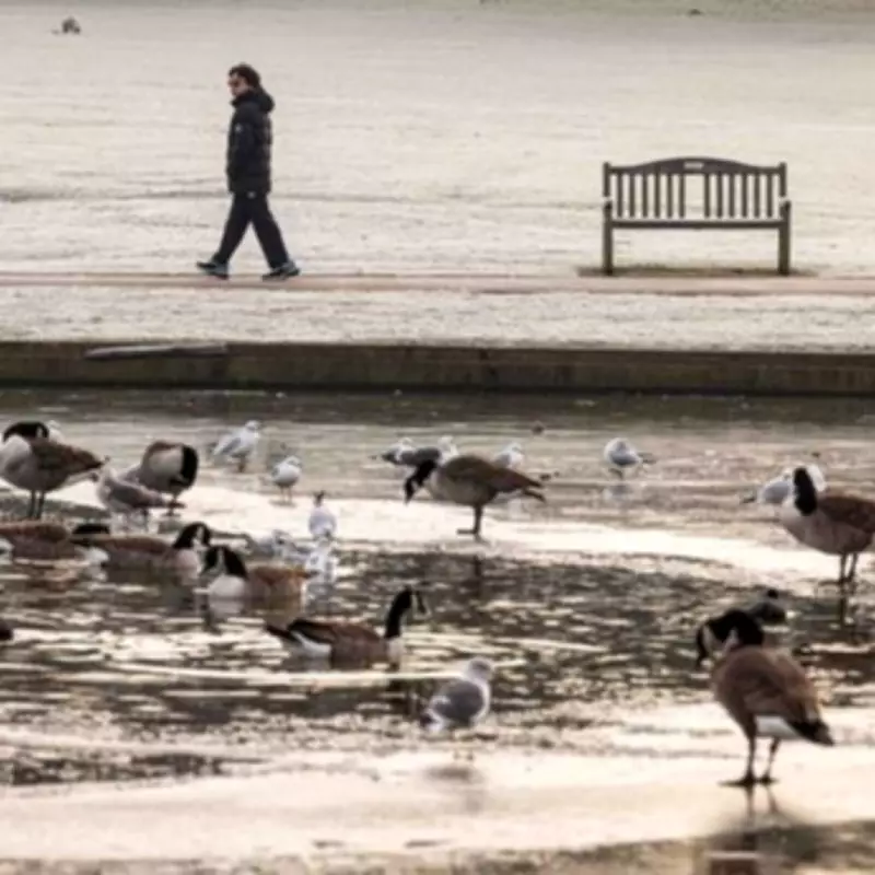 Met Office Issues Icy Conditions Alert for Birmingham Tonight