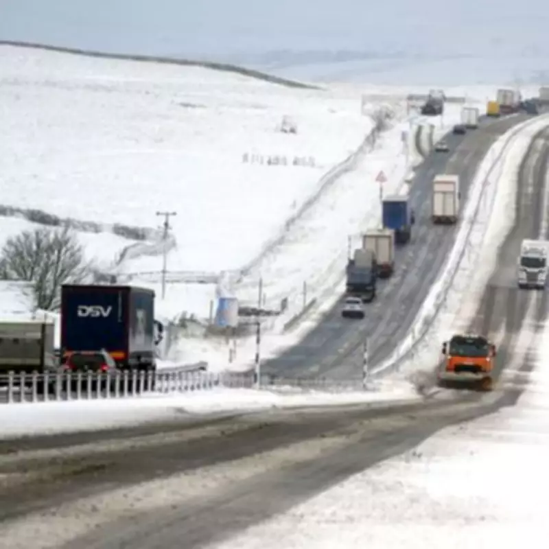Met Office Predicts Exact Date of 'Cold Plunge' as Snow Returns to UK
