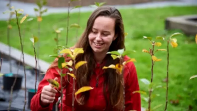 National Trust Celebrates Women Conservationists Across Somerset's Countryside