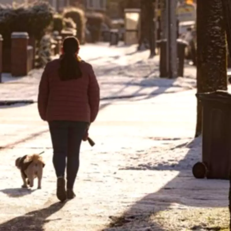 New Dog Walking Law in England and Wales Imposes Unlimited Fines from Wednesday
