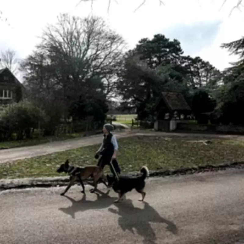New Dog Walking Law in England Brings Prison Time and Unlimited Fines