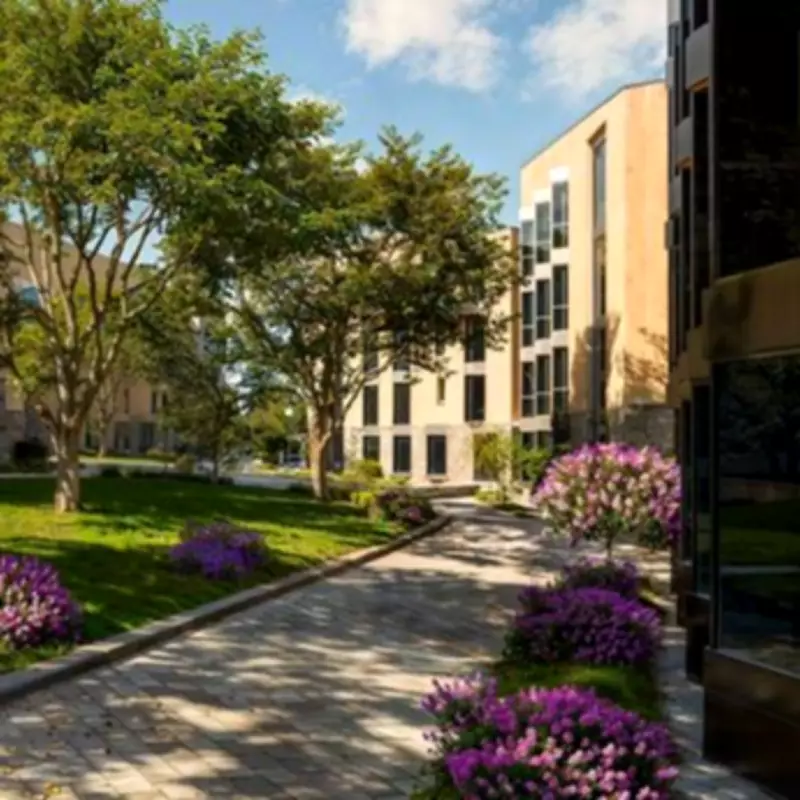 Next Phase Submitted for Halo Village Student Accommodation Development in Penryn