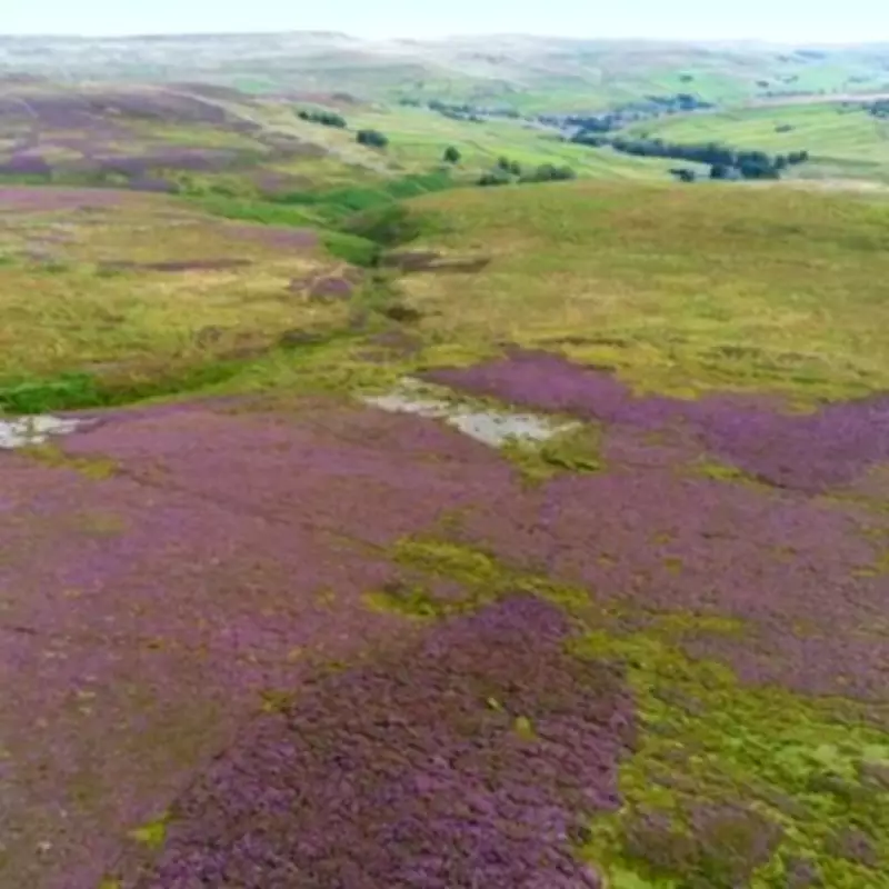 Northern Lithium Seeks £3m Investment Ahead of Major £30m Fundraising Drive