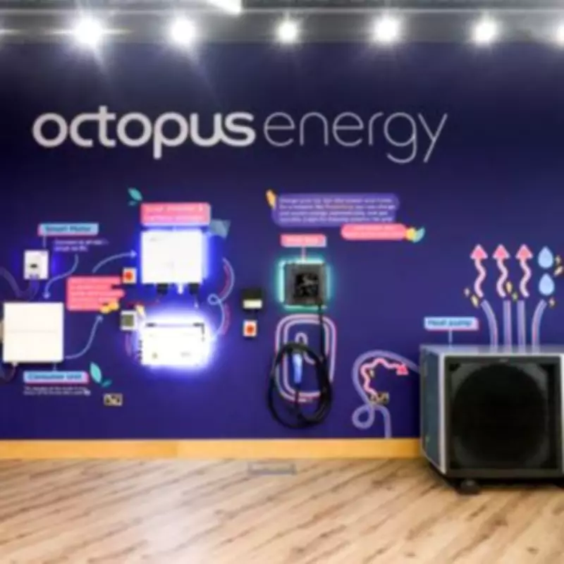 Octopus Energy Cuts Bills for All UK Customers in Bold Industry Move