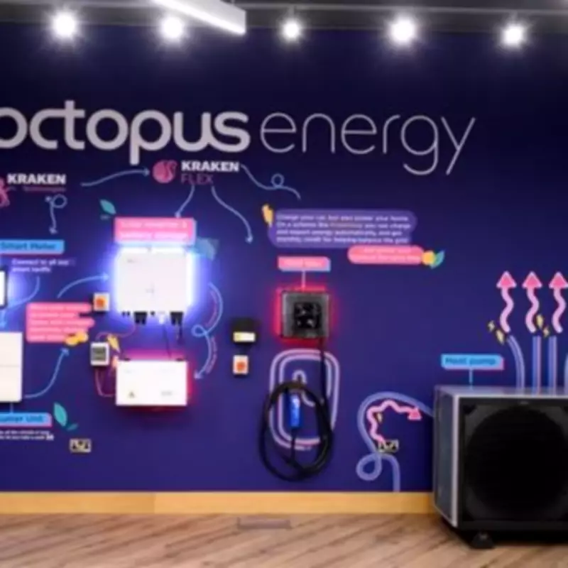 Octopus Energy Offers Major Perk for Families with Children Aged 5-17 in March