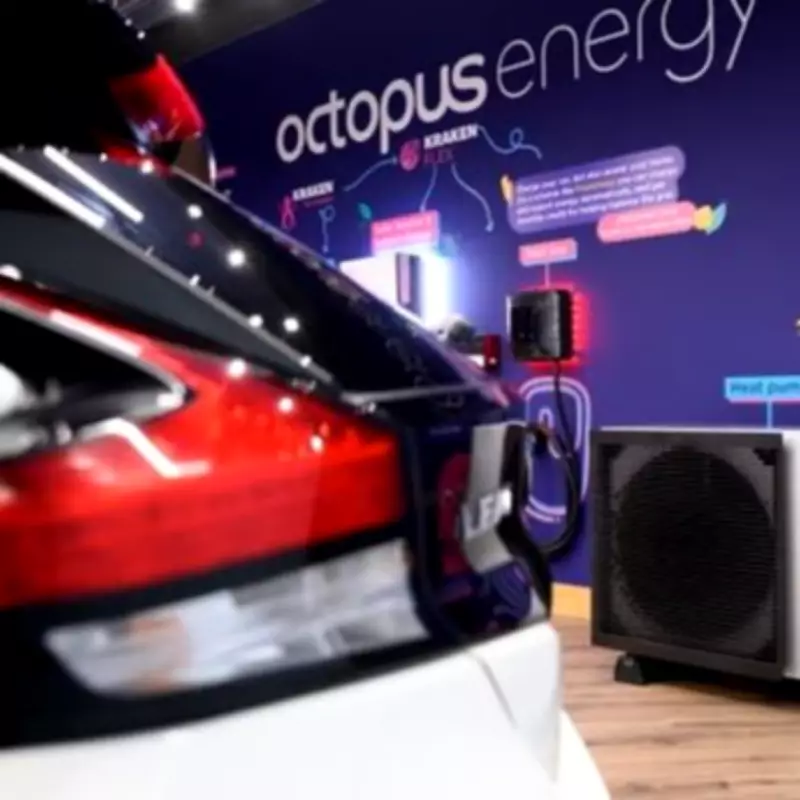 Octopus Energy Offers Six Months Free EV Charging in New Andersen Deal