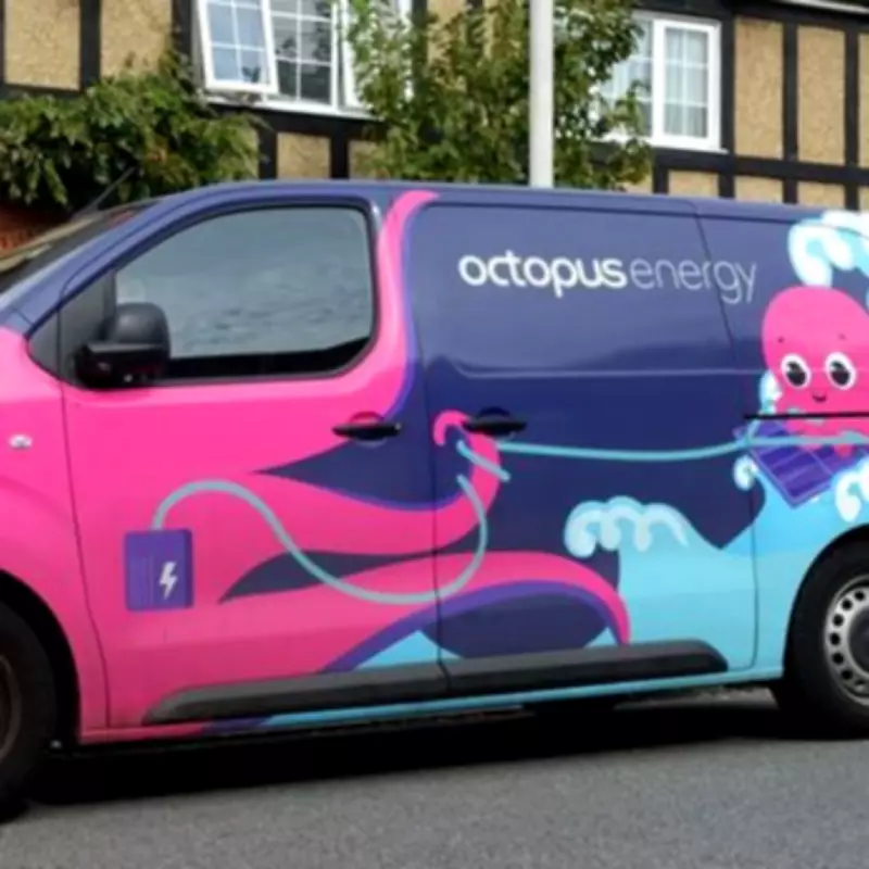 Octopus Energy Warns UK Customers About Iran War Impact on Energy Bills