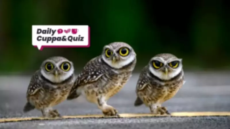 On This Day: Thomas Cranmer Executed in 1556 Under Queen Mary I