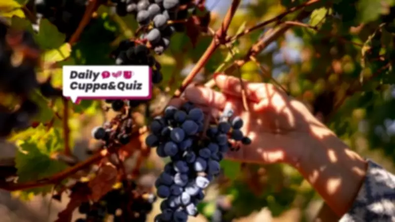 On This Day: WHO Declared COVID-19 a Pandemic in 2020