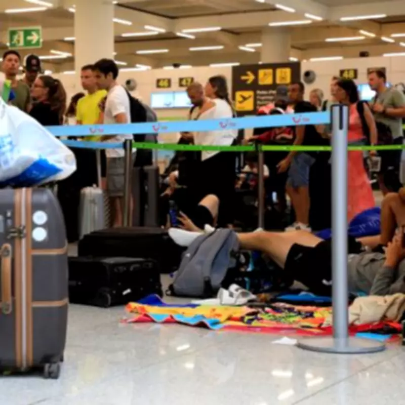Palma Airport Strikes Enter Second Day, Causing Major Delays for British Tourists