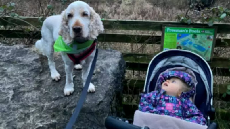 Paws for a Cause: Derian House's Top Dog Challenge Raises Over £5,500