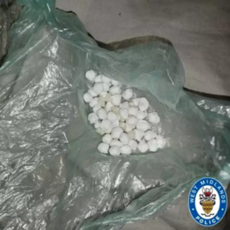 Police Raid in Birmingham: Suspect Caught Flushing Drugs Down Toilet