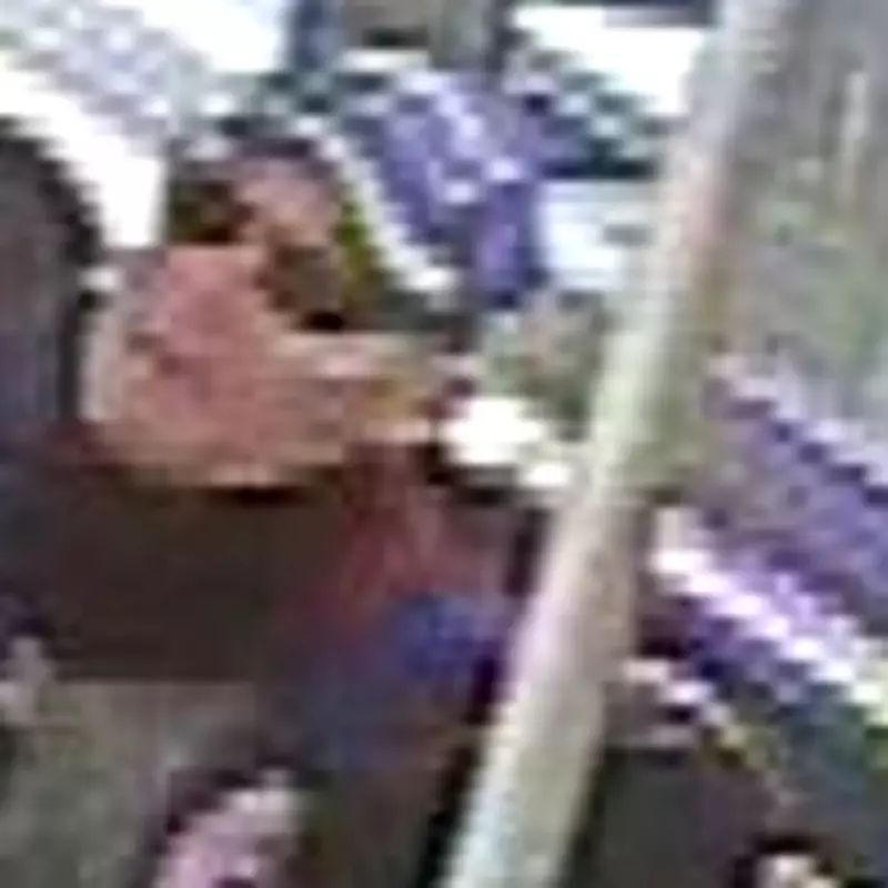 Police Release CCTV Image After Woman Assaulted on Merry Hill Bus