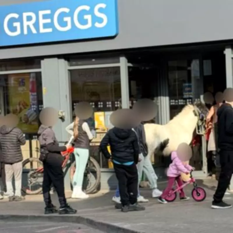 Pony Makes Unusual Visit to Greggs Bakery in Walsall Town Centre