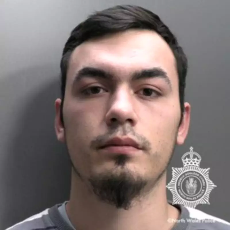 Predator Jailed for Raping Sleeping Teenagers in Flintshire Home Invasion