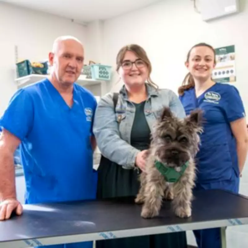 Puppy's Sock Snack Sparks Emergency Vet Visit in Staffordshire
