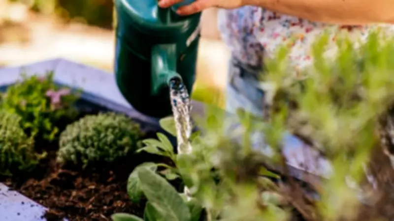 Renters' Guide to Spring Gardens: 9 Expert Tips for Tenants