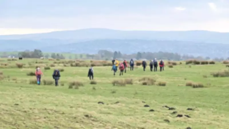 Rossendale Ramblers Enjoy Sunny Walks and Announce Upcoming March Routes