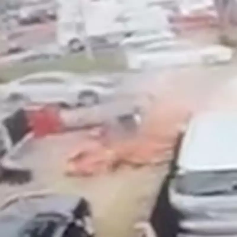 Shocking moment 'speeding' driver smashes into Birmingham homes before fleeing scene