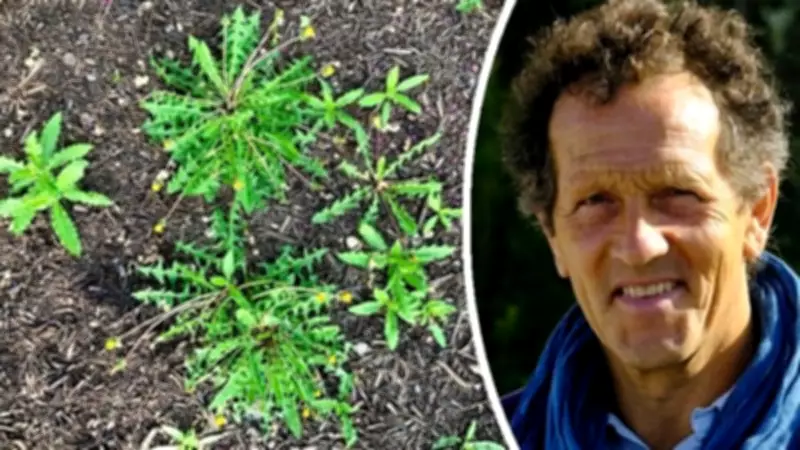 Spring Garden Weeding Guide: Expert Tips for a Flourishing Plot