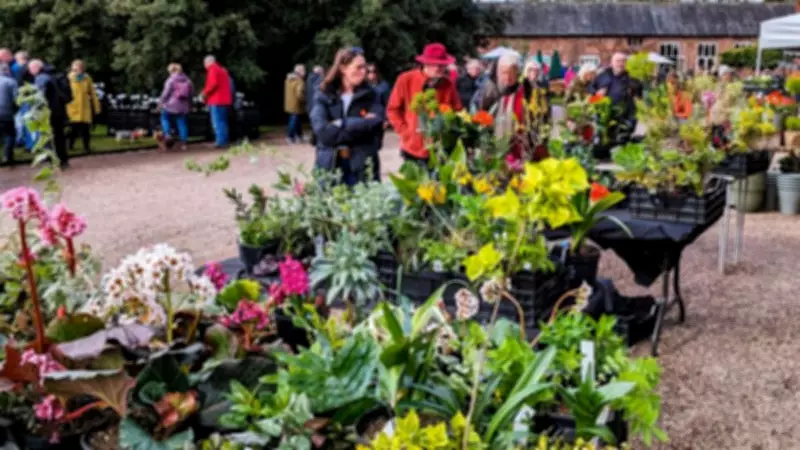Spring Plant Hunters' Fair Returns to Arley Hall Gardens This March