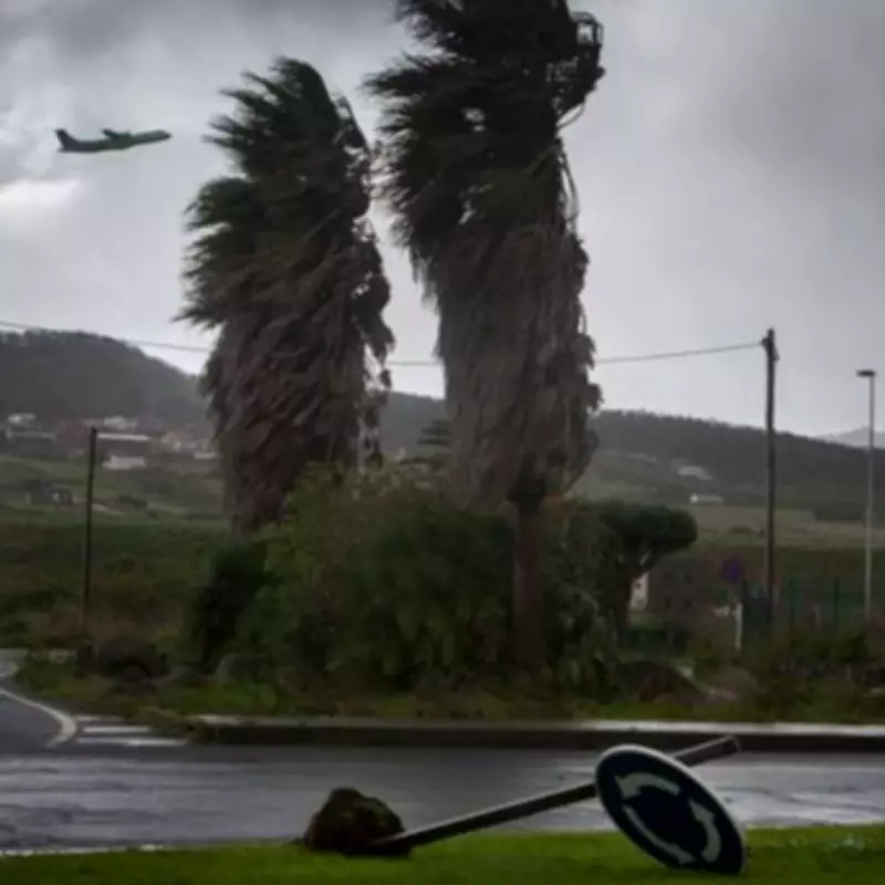 Storm Therese Brings Chaos to Tenerife: Flights Cancelled, Tourists Stranded