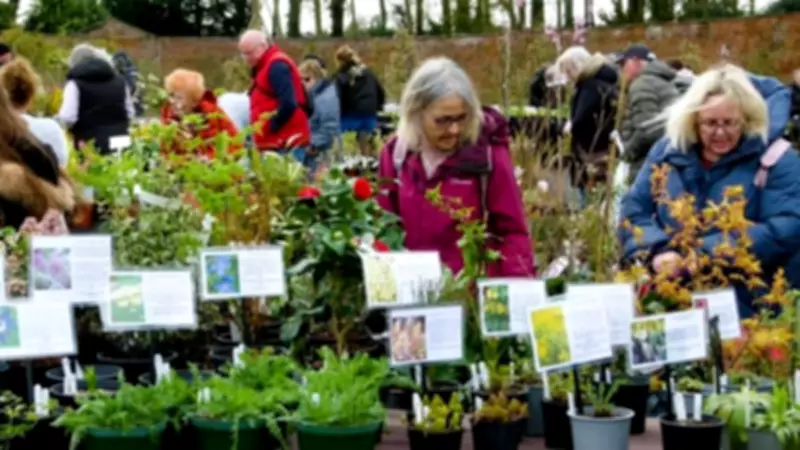 Sugnall Walled Garden Hosts Spring Plant Hunters' Fair for Garden Enthusiasts