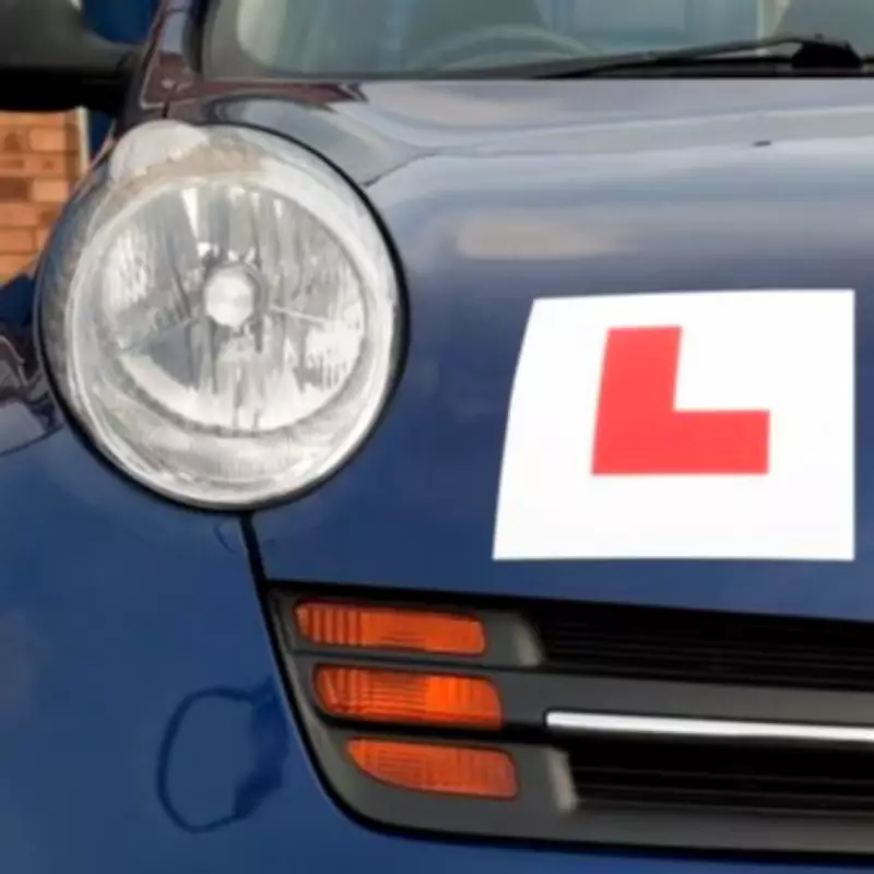 Survey: One-Third of Drivers Demand Prosecution for Driving Test Cheats