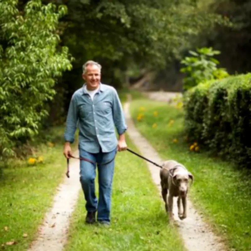 Survey Reveals Major Gap Between Dog Owners' Self-Perception and Public Experience