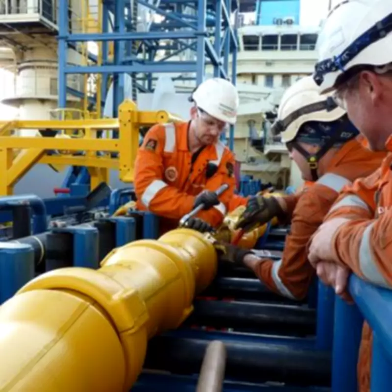 Tekmar Reports Record Order Book and Positive Momentum Despite Revenue Dip